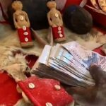 Comment réaliser un vrai portefeuille magique